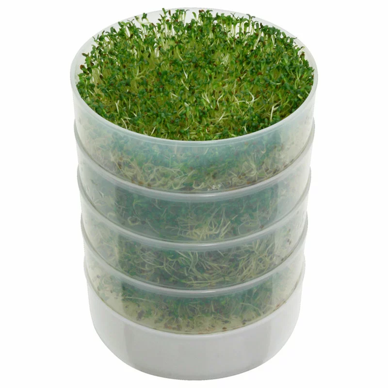 VKP Brands Home Kitchen Crop 4-Tray Sprouter - Sprout Favorite Seeds And Legumes - Image 4